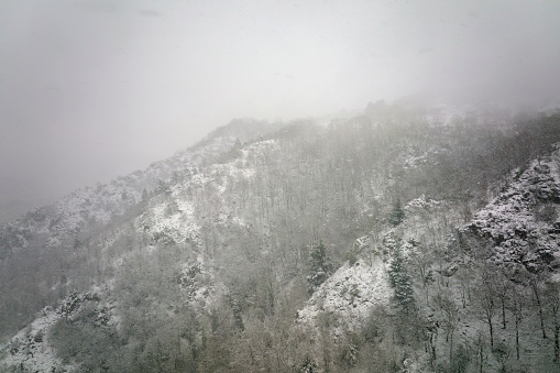 Aerial foggy landscape with mountain cliffs covered with fresh fallen snow during heavy snowfall in winter mountain forest on cold quiet day.