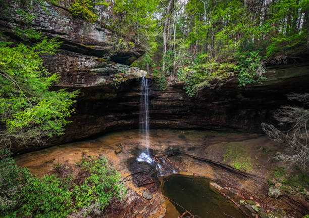 istock Northrup falls scenic view at the trail park 1953609906