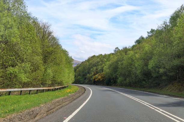 istock A Peaceful Drive Through the Lush Green Forest 1953671716