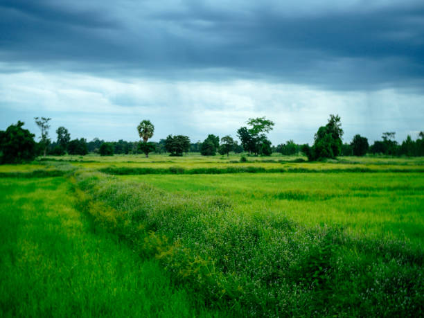 southeast asia nature