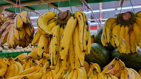 Bunch of fresh bananas in the organic food market. Ripe bananas hanging on strings in large bunches. Organic yellow bananas, ripe and abundant. Freshness and nutrition in a full frame capture.