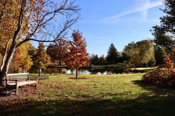 istock Autumn Day in the Park 1953700721