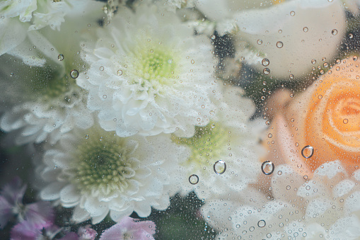 Bouquet of Flowers - Behind Glass - Water Droplets - Fog - Macro