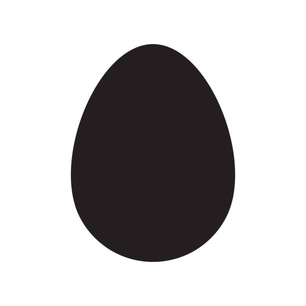 달걀 벡터 모양입니다. 흰색 배경에 고립 - eggs stock illustrations
