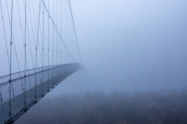 istock Foggy freezing winter morning, suspension bridge. 1953721098
