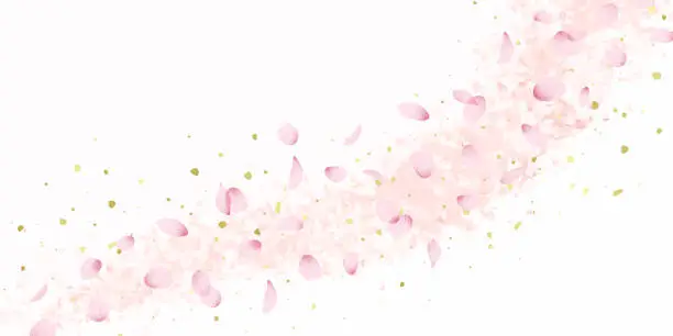 Vector illustration of Sakura Petals, Cherry Blossom Shower Background Illustration