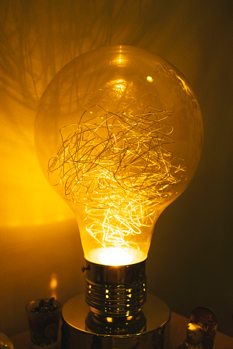 Close-up image of a desktop glass bulb with mesh wires