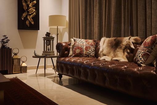 brown elegant leather sofa in living room