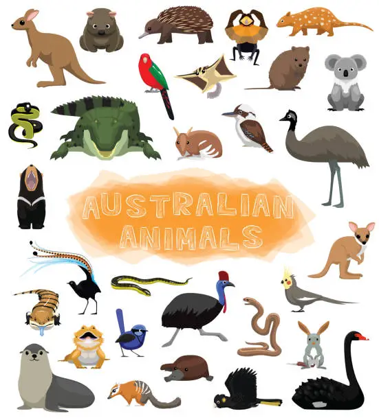 Vector illustration of Cute Australian Animals Set Cartoon Vector