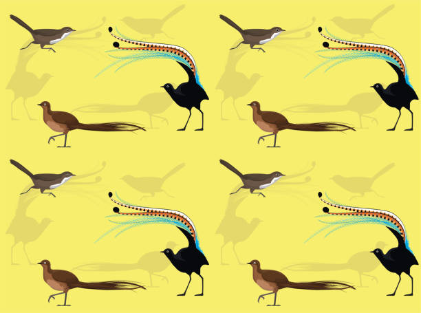 Bird Lyrebird Scrub-bird Cartoon Cute Seamless Wallpaper Background Animal Wallpaper EPS10 File Format superb lyrebird stock illustrations