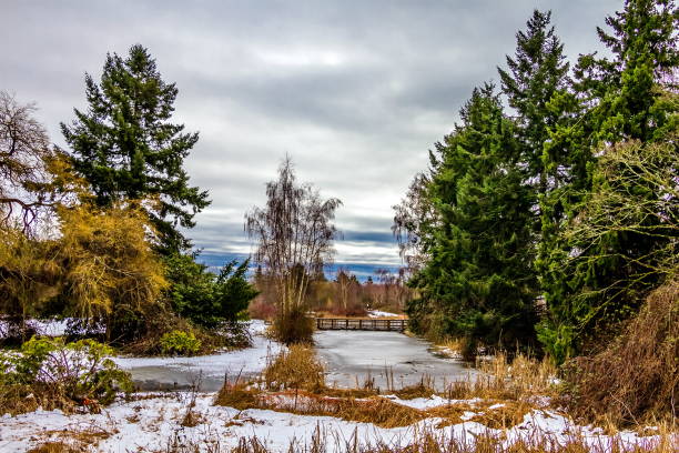 istock Winter landscape in Terra Nova Park 1953985329