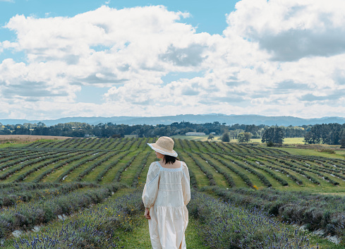 Young Asian woman standing in the middle of a lavender field. She has her back to the camera.The lavender has been picked.