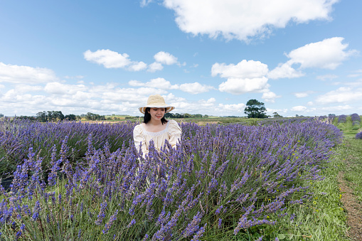Young Asian woman sitting in a lavender field and looking down to the flower heads, blue sky as background.