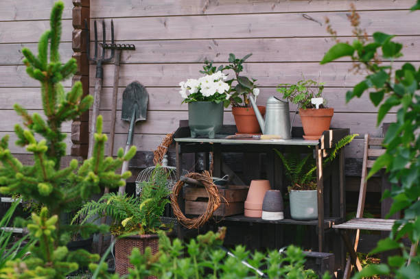 istock Gardener work bench (potting table) in summer garden. Wooden rustic style house, different tools and pots. 1954098135