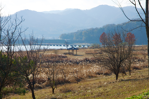 Sangju City, South Korea - November 18th, 2023: A quaint pavilion nestled in a field with white-topped reeds, beside the Nakdong River, framed by trees and mountains, with a low bridge crossing the river.