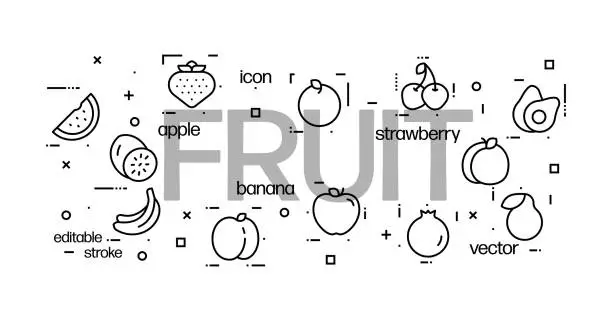 Vector illustration of Fruit icons centered around the set title