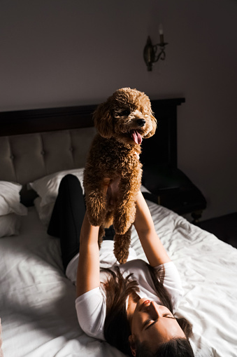 Young woman playing and posing with teddy dog ​​in bed.Friendship concept with animal