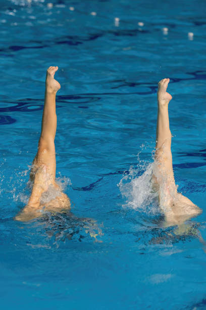 istock Synchronized swimming duet enchants the pool with their graceful dance 1954139349