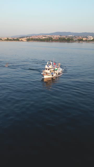 Aerial view of a fishing boat on deep blue sea. Housing settlements are visible in the background. A seagull flies around the boat. Camera is rotating around the boat.
