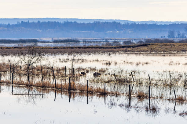 istock Meadow landscape that is flooded by the springflod 1954227913