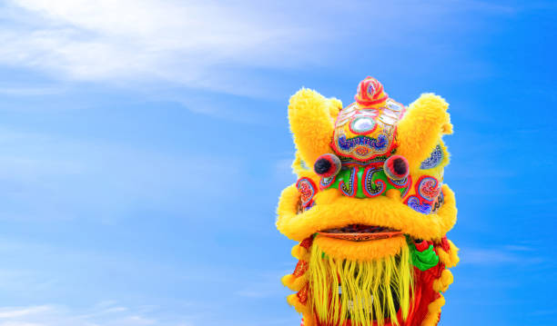 istock Colorful yellow Chinese lion dance against blue sky background while showing performance on street in Chinese New Year festival 1954235874
