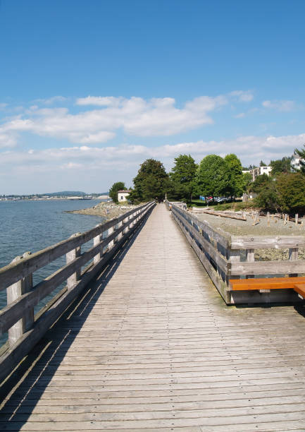 istock Boardwalk With Trees Blue Sky White Clouds And Water 1954256025