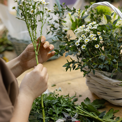 preparing a flower for a composition florist's master class close-up