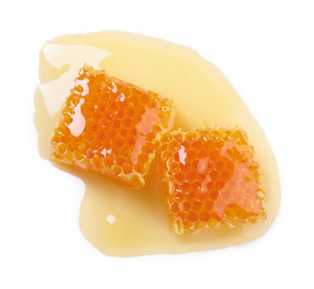 istock Natural honeycombs with tasty honey isolated on white, top view 1954278885