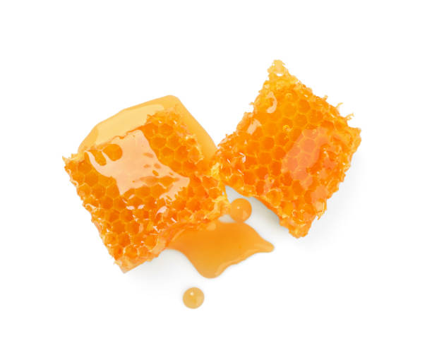 istock Natural honeycombs with tasty honey isolated on white, top view 1954279962