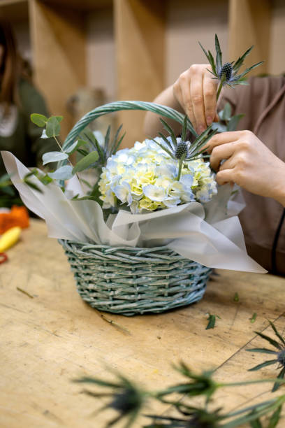 istock florist makes a composition of blue thistle, eucalyptus branches and white hydrangea in a blue basket 1954281528