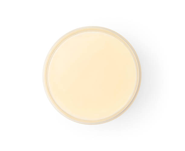 istock Bowl with condensed milk isolated on white, top view 1954299161