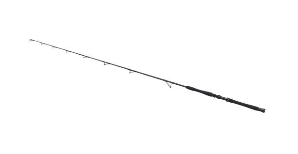 istock Spinning rod for fishing 1954315628