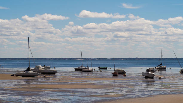 istock Beach of Andernos-les-Bains 1954336079