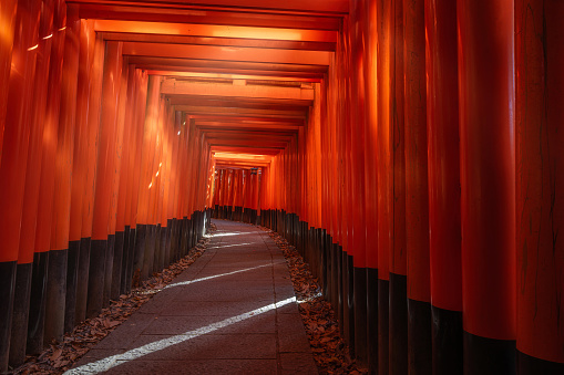Kyoto, Japan - December 8, 2023: Iconic red torii gates at Fushimi Inari shrine in the ancient capital Kyoto.