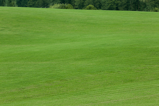 Beautiful lawn with bright green grass outdoors