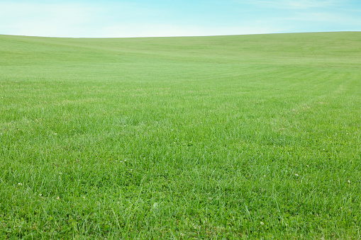 An English field bathing in the heat of a summers sun.