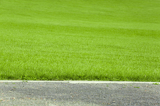 Beautiful lawn with bright green grass outdoors