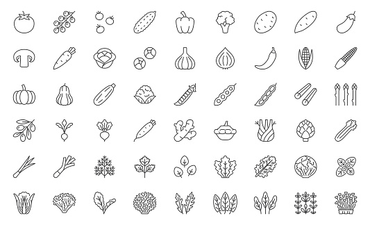 Vegetables line icon set. Tomato, cherry, cucumber, pepper, broccoli, potato, carrot, cabbage, asparagus minimal vector illustrations. Simple outline signs for natural organic food. Editable Stroke.