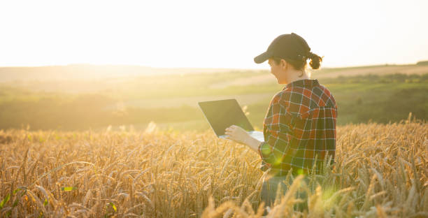 istock Female farmer working with laptop on wheat field 1954361817