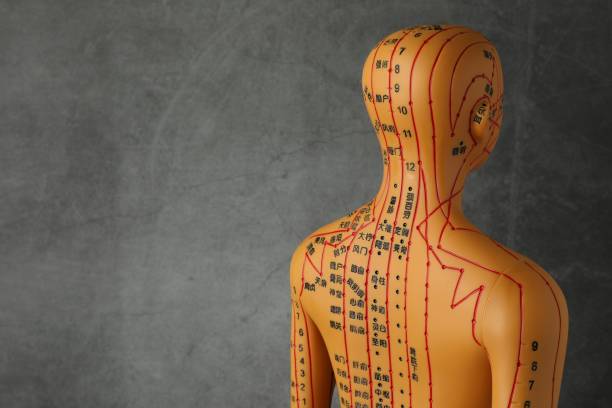 Acupuncture model. Mannequin with dots and lines on dark grey background, space for text Acupuncture model. Mannequin with dots and lines on dark grey background, space for text acupuncture model stock pictures, royalty-free photos & images