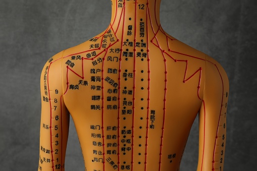 Acupuncture model. Mannequin with dots and lines on dark grey background, back view