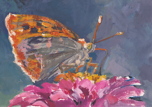 A yellow butterfly on a pink flower. A beautiful natural illustration made by hand with gouache paints. Modern painting, art. A spring postcard for printing in the printing industry. Spring concept