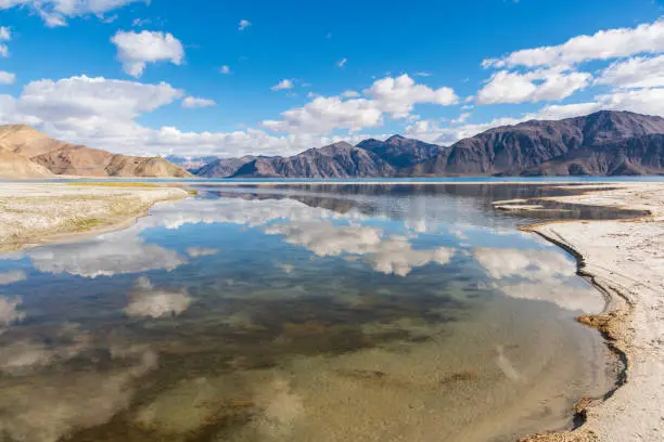 Pangong Tso or Pangong Lake is an endorheic lake spanning eastern Ladakh and West Tibet situated at an elevation of 4.225 m. It is 134 km long and divided into five sublakes, called Pangong Tso, Tso Nyak, Rum Tso (twin lakes) and Nyak Tso. Approximately 50% of the length of the overall lake lies within Tibet in China, 40% in Ladakh, India and the remaining 10% is disputed and is a de facto buffer zone between India and China. The lake is 5 km wide at its broadest point. All together it covers almost 700 km2.
Two streams feed the lake from the Indian side, forming marshes and wetlands at the edges. In the sun, the lake is a deep shimmering blue and green backed by barren tan-colored mountains with snows depending on the season, the sight that is stunningly beautiful and pristine. Despite being saline water the lake freezes completely during the winter. The spectacular lakeside is open during the tourist season, from May to September.
Pangong Tso, Ladakh, India, Asia.