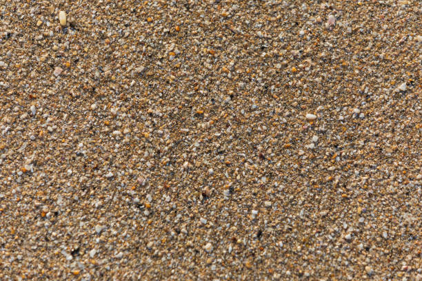 istock Brown sand on the beach - close up 1954414510