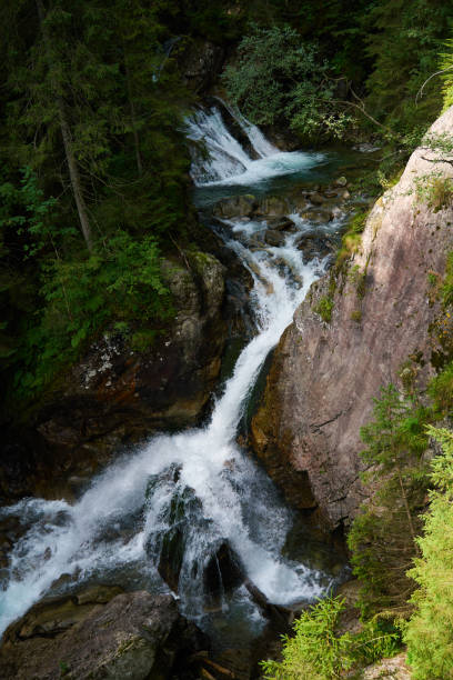 istock Mountain river with rapids in rocks among green forest trees 1954418323
