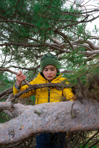 Boy playing in the forest among the trees