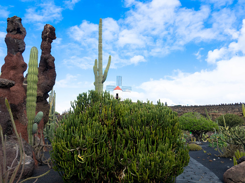 The Jardín de Cactus is a cactus and succulent garden on the northern of Guatiza on the northeast coast of Lanzarote. Popular Tourist attraction. Canary islands, Spain.