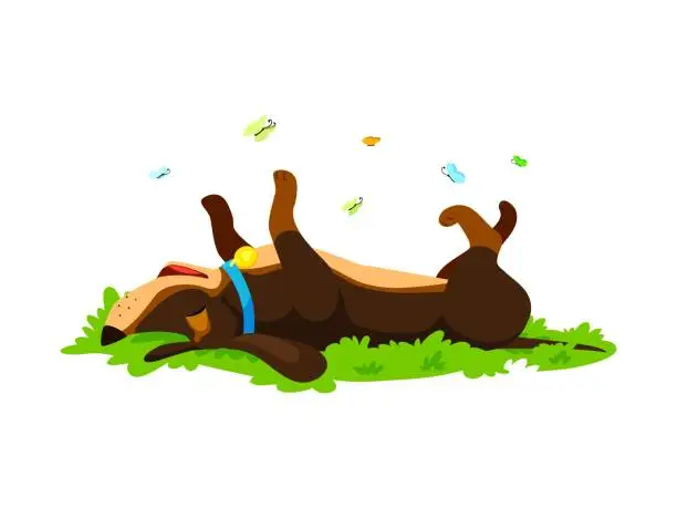 Vector illustration of Cartoon dachshund dog puppy frolicking in grass