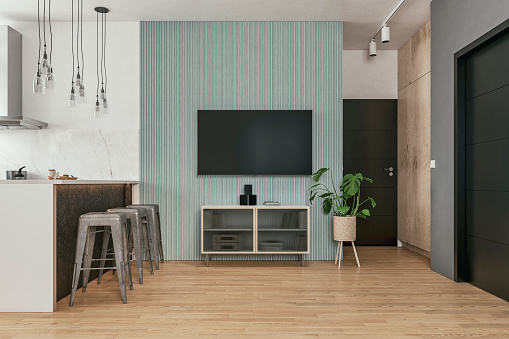 A side view of a modern small apartment: a part of the kitchen with an island, a living room with a cabinet and a wall-mounted TV, and a hallway with two interior doors
