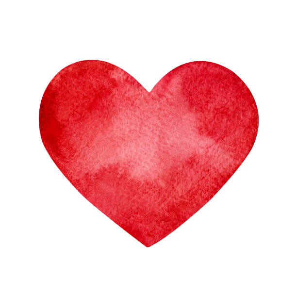 istock Hand painted red watercolor heart isolated on a white background. 1954517546